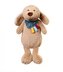Plyšová hračka/přítulníček DOG WILLY, BabyOno, béžový