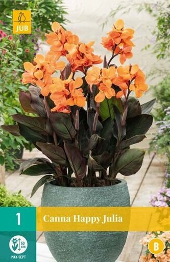 Karta - Kana (SOL) HAPPY JULIA (1 hlíza) "B"