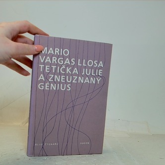 Tetička Julie a zneuznaný génius