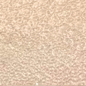 Barva na kůži Pébéo Leather 45ml – 19 Pink Beige