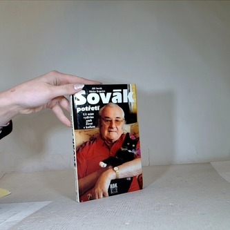 Už mám vydivíno aneb život s kočkou