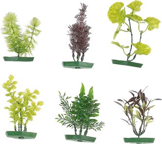 FLAMINGO  akvarijní rostliny mix   S