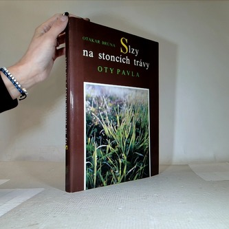 Slzy na stoncích trávy Oty Pavla