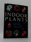 Indoor Plants