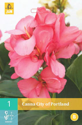 Karta - Kana CITY OF PORTLAND (1 hlíza) "B"