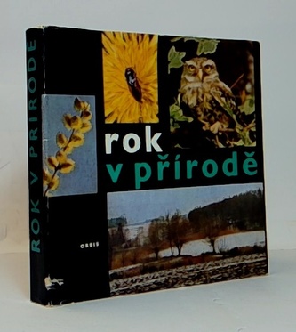 Rok v přírodě