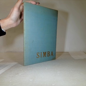 SIMBA DAS LOWENJUNGE