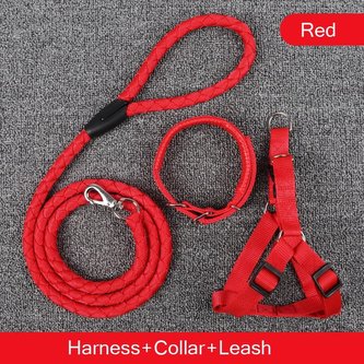 Vodítko + postroj + obojek Easy Červená XL