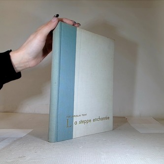 La Steppe enchantée