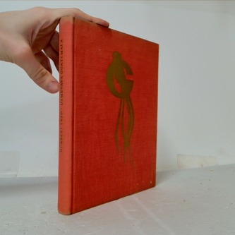 Usměvavá Guatemala