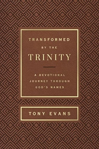Transformed by the Trinity (Milano Softone)
