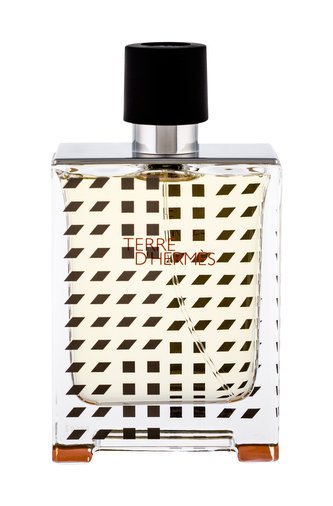Hermes Terre D Hermes Flacon H Toaletní voda 2019 100 ml pro muže