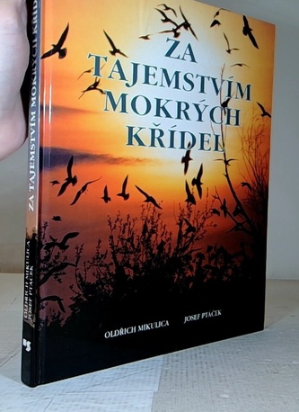 Za tajemstvím mokrých křídel