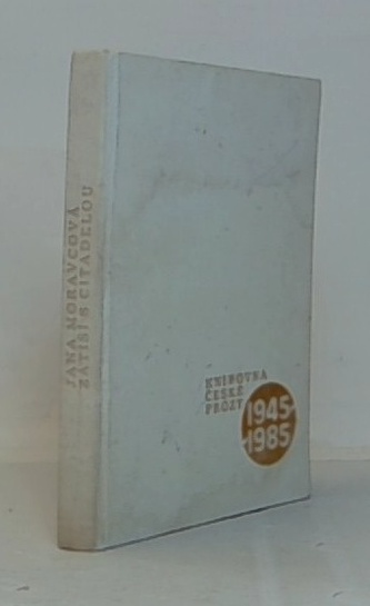 Zátiší s citadelou