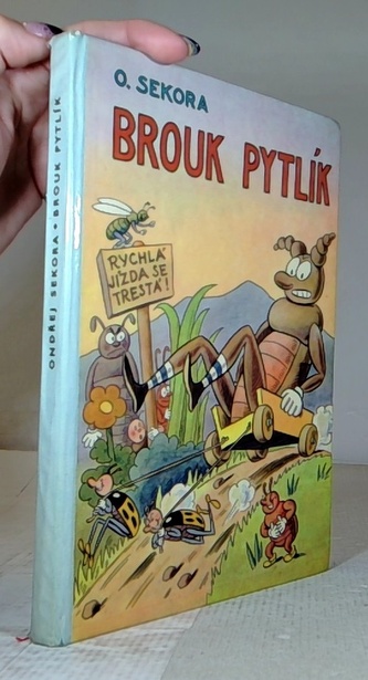 Brouk Pytlík