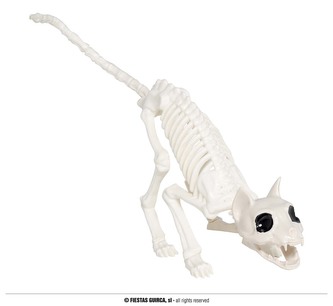 Kostra kočky 48 cm