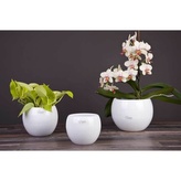 Obal 510 Arctic white 20 cm