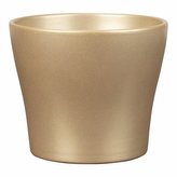 Obal 808 Royal gold 17