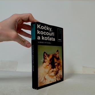 Kočky, kocouři a koťata
