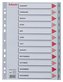 Rejstříky, šedá, A4, plast, Jan-Dec, ESSELTE