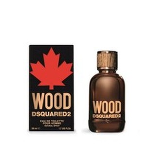 Dsquared2 Wood Toaletní voda 100 ml pro muže