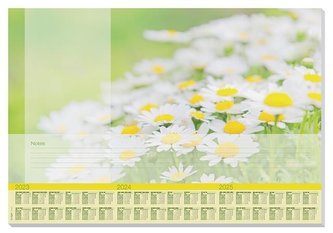 Podložka na stůl "Lovely Daisies", 595 x 410 mm, SIGEL HO307