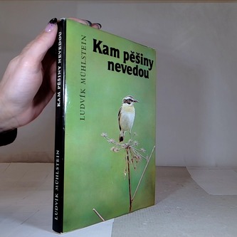 Kam pěšiny nevedou