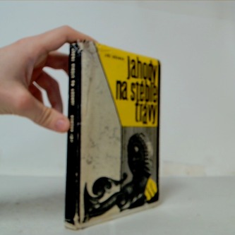 Jahody na stéble trávy