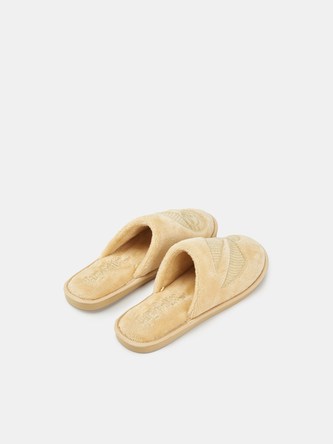 Papuče se Zlatonkou, Harry Potter Velikost: 40/41