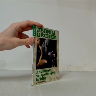 Andělíček se spálenými křídly