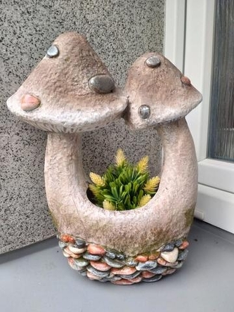 Obal MG houby s kamínky