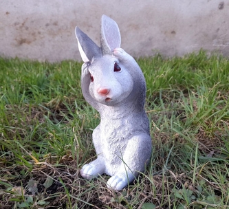 Králík šedý větší