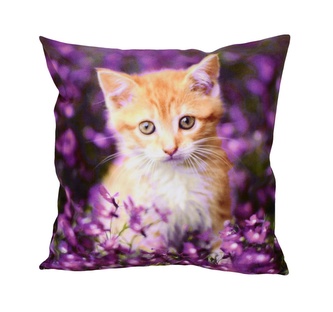 Fotonávlek, Kočička a fialky, 40 x 40 cm