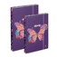Oxybag Box A4+A5 Motýl