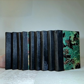 Pařížští Mohykáni díly I-IX