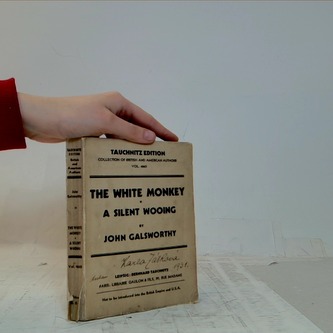 The white monkey -  A silent wooing