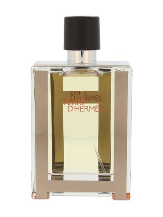 Hermes Terre D´ Hermes - EDT TESTER 100 ml man