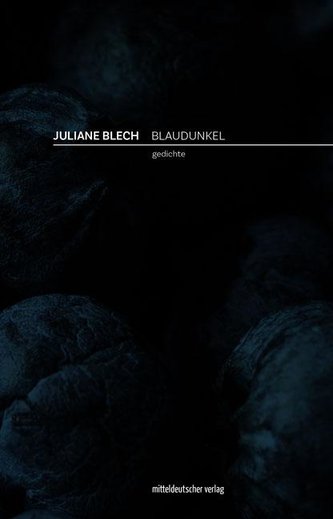 Blaudunkel