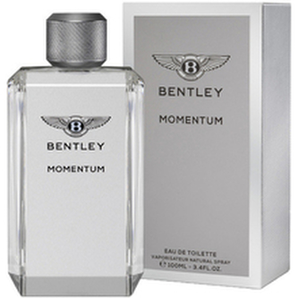 Bentley Momentum - EDT TESTER 100 ml man