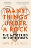 Many Things Under a Rock