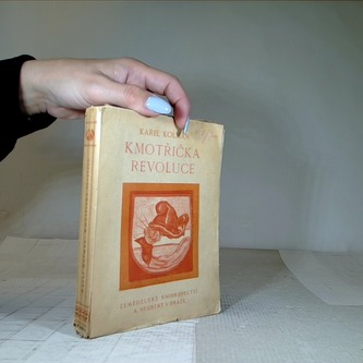 Kmotřička revoluce
