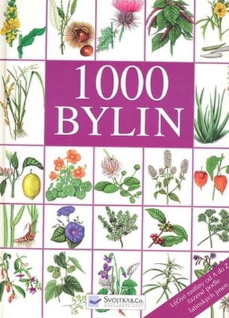 1000 bylin