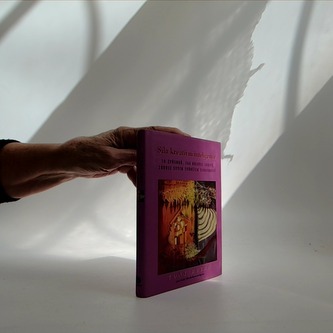 Síla kreativní intelegnece