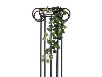 Pothos trs střední, 70 cm