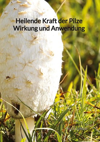 Heilende Kraft der Pilze Wirkung und Anwendung