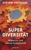 Superdiversität