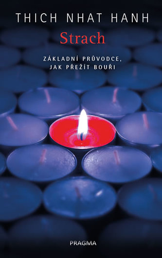 Strach. Základní průvodce, jak přežít bouři Strach. Základní průvodce, jak přežít bouři