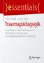 Traumapädagogik