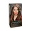 L´Oréal Paris Barva na vlasy Récital Préférence Barva na vlasy Récital Préférence - Odstín 4.15/M1 Caracas woman