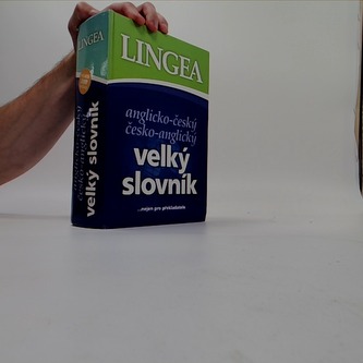 Velký slovník
